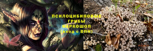 каннабис Магас