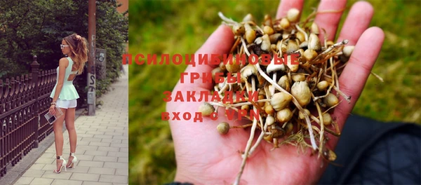 эйфоретик Магадан