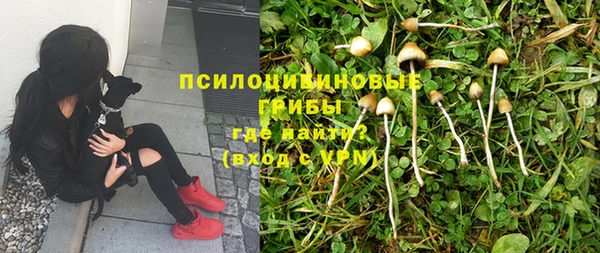 эйфоретик Магадан